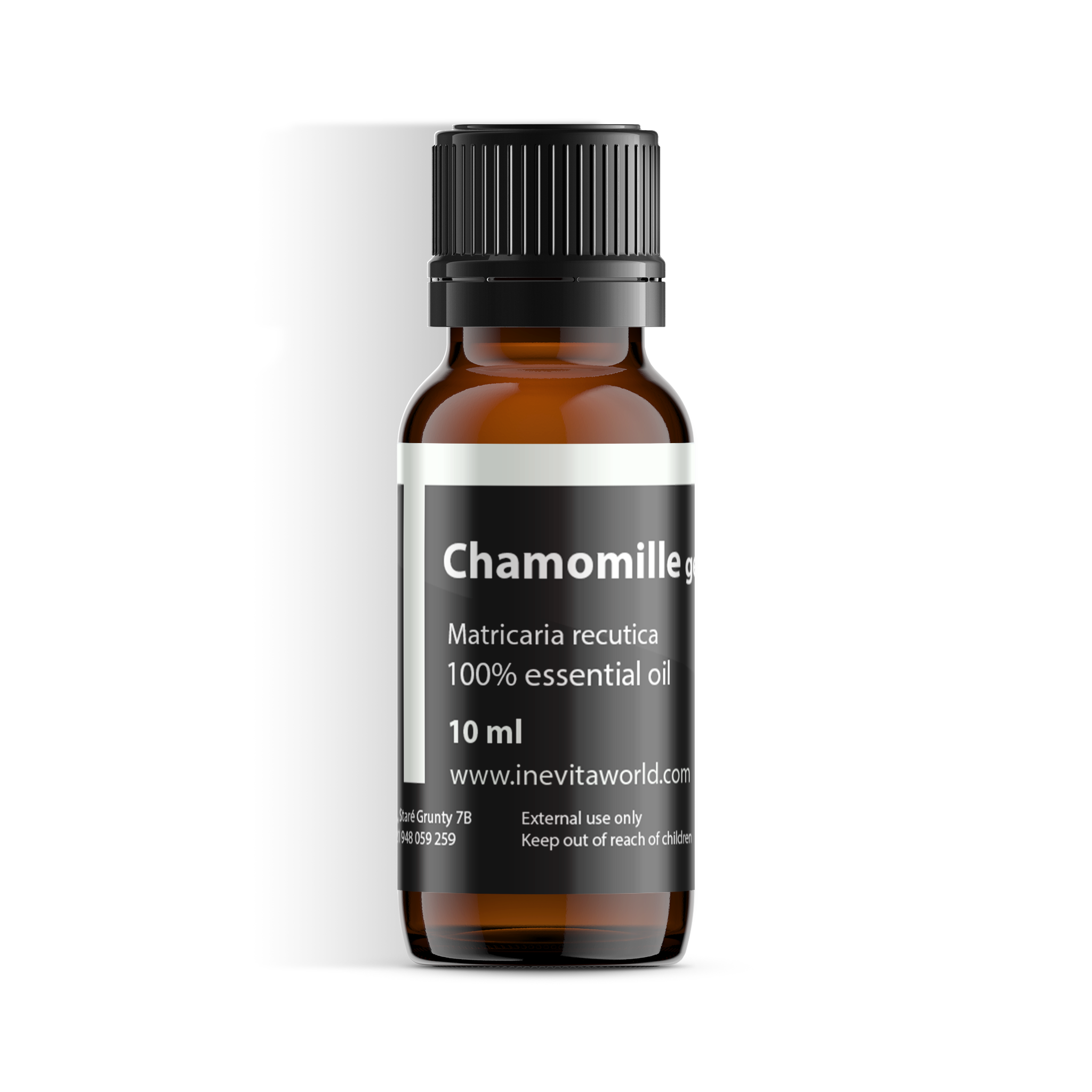 German chamomille