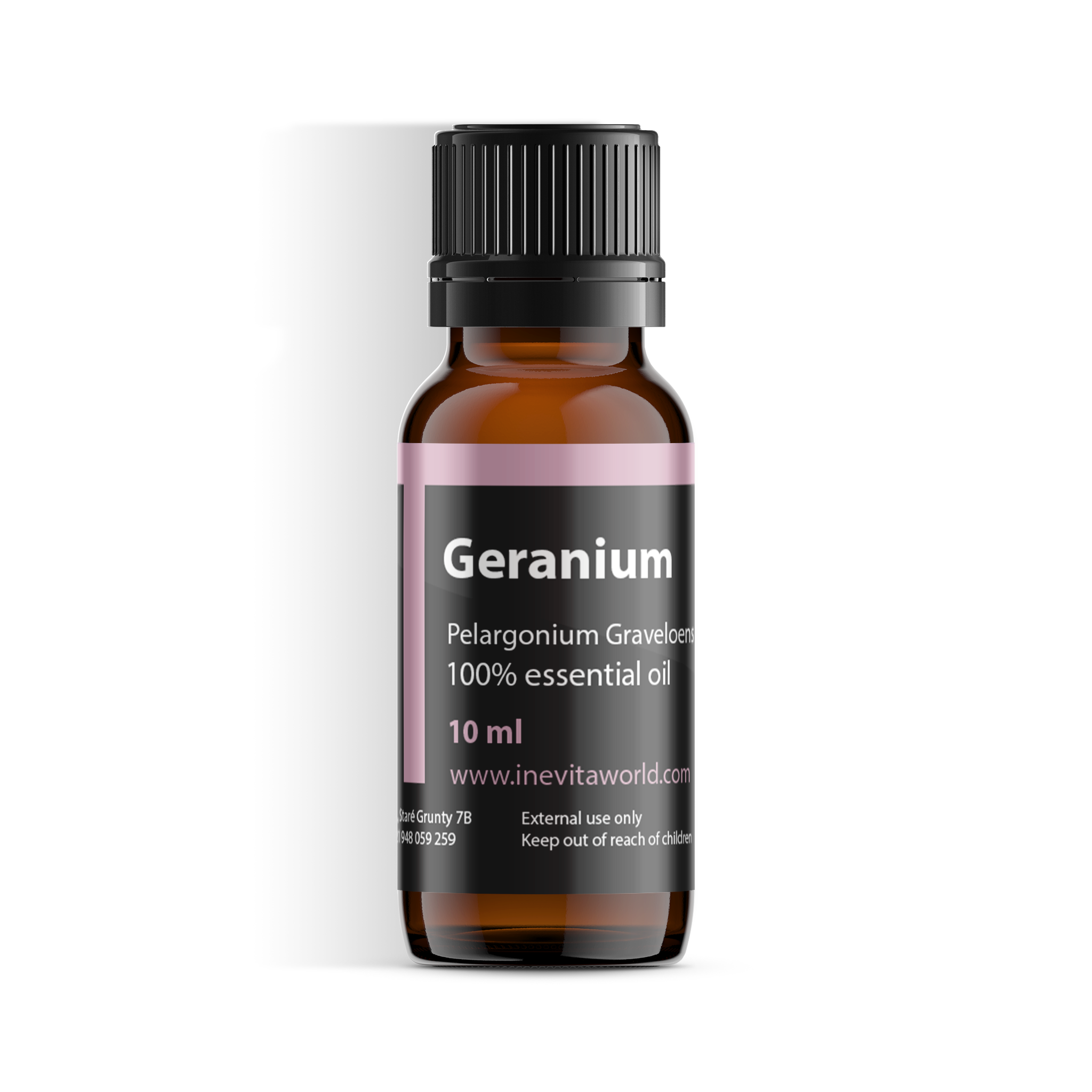 Geranium