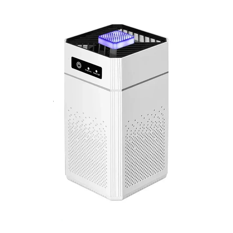 Negative Ion Air Purifier with HEPA Filter